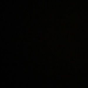 Meet your Posher, Isabelle